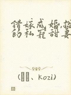 错嫁成婚,总裁的私宠甜妻