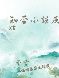 知否小说原著txt