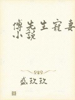 傅先生宠妻无度小说