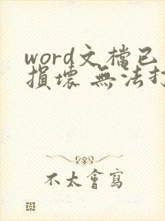 word文档已损坏 无法打开怎么办