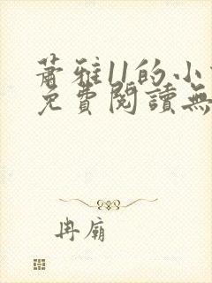 萧雅11的小说免费阅读无弹窗最新章节