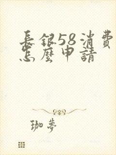长银58消费贷怎么申请