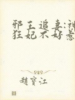 邪王追妻:神医狂妃不好惹