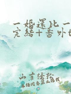 一婚还比一婚高完结+番外txt