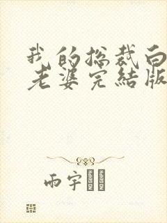 我的总裁白富美老婆完结版