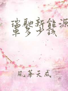 瑞驰新能源面包车多少钱