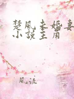 楚风未婚妻楚芸小说主角