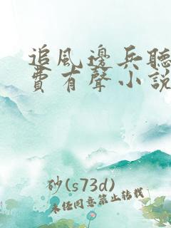 追风边兵听书免费有声小说