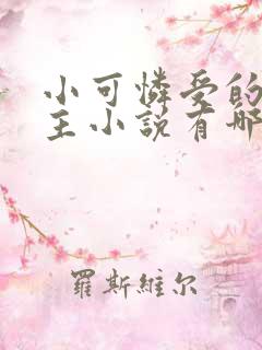 小可怜受的双男主小说有哪些