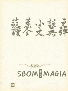 苏叶小说免费阅读全文无弹窗