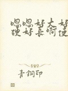 嗯嗯好大好粗好硬好长啊使劲快点用力