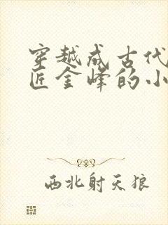 穿越成古代小铁匠金峰的小说