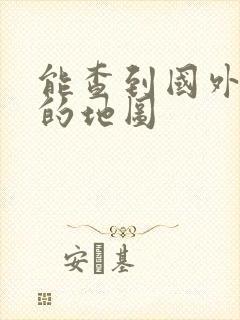 能查到国外地址的地图