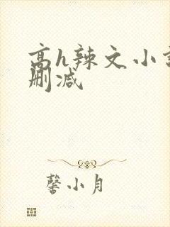 高h辣文小说未删减