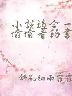 小说适合一个人偷偷看的书言情推荐完结