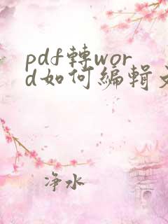 pdf转word如何编辑文字