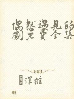 偶然遇见的你短剧免费全集免费播放