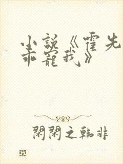 小说《霍先生乖乖宠我》