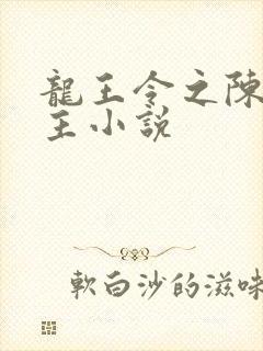 龙王令之陈平殿主小说