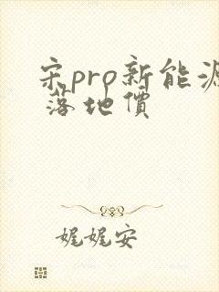 宋pro新能源 落地价