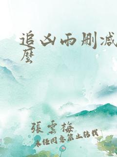 追凶雨删减了什么