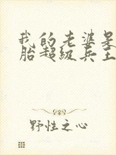 我的老婆是双胞胎超级兵王在都市