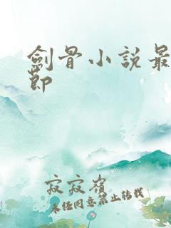 剑骨小说最新章节