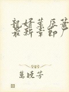 龙婿叶辰萧初然最新章节厂