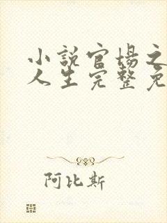 小说官场之风流人生完整免费阅读