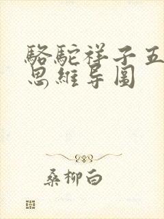 骆驼祥子五六章思维导图