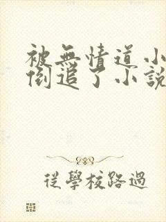 被无情道小师弟倒追了小说免费下载