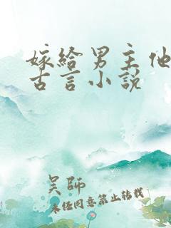 嫁给男主他爹的古言小说