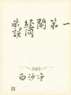 藏经阁第一版小说网