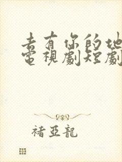 去有你的地方2电视剧短剧免费观看