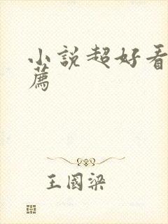 小说超好看的推荐