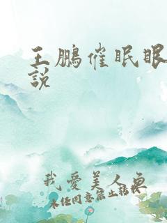 王鹏催眠眼镜小说