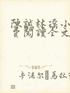 陈诚林瑶小说免费阅读全文最新章节