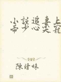 小说追妻上瘾,帝少心尖宠免费看