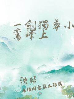 一剑独尊小说青鸾峰上