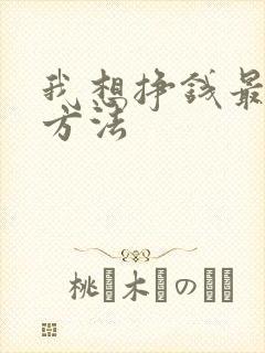 我想挣钱最快的方法