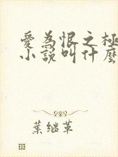 爱为恨之极原著小说叫什么名字