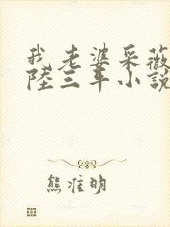 我老婆采薇养父陆三平小说在人间