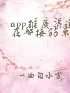 app推广渠道在哪接的单子