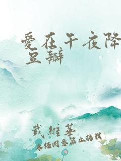 爱在午夜降临前 豆瓣