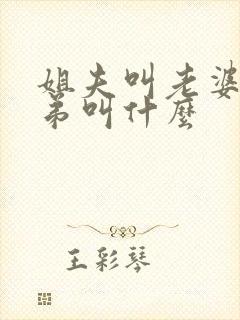 姐夫叫老婆的弟弟叫什么