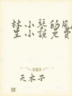 林小琴的风流人生小说免费阅读全文