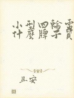 小型四轮电动车什么牌子质量好