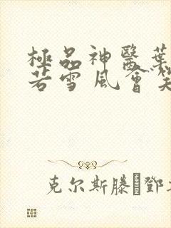 极品神医叶辰夏若雪 风会笑