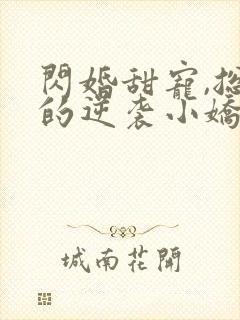 闪婚甜宠,总裁的逆袭小娇妻免费阅读