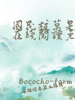 国民校草是女生在线阅读免费